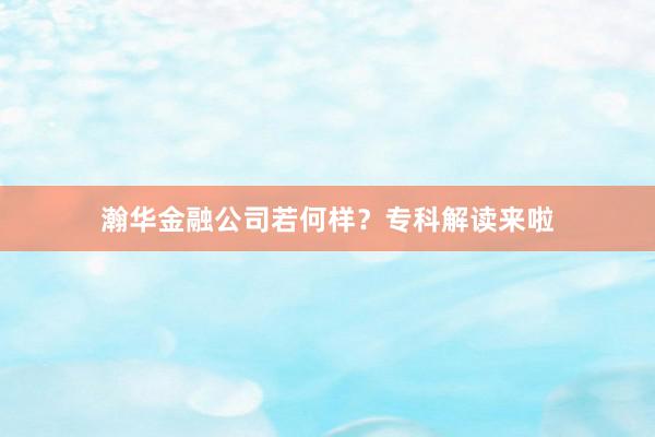 瀚华金融公司若何样？专科解读来啦
